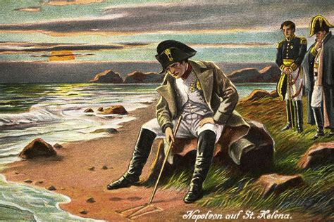 napoleon sockshare